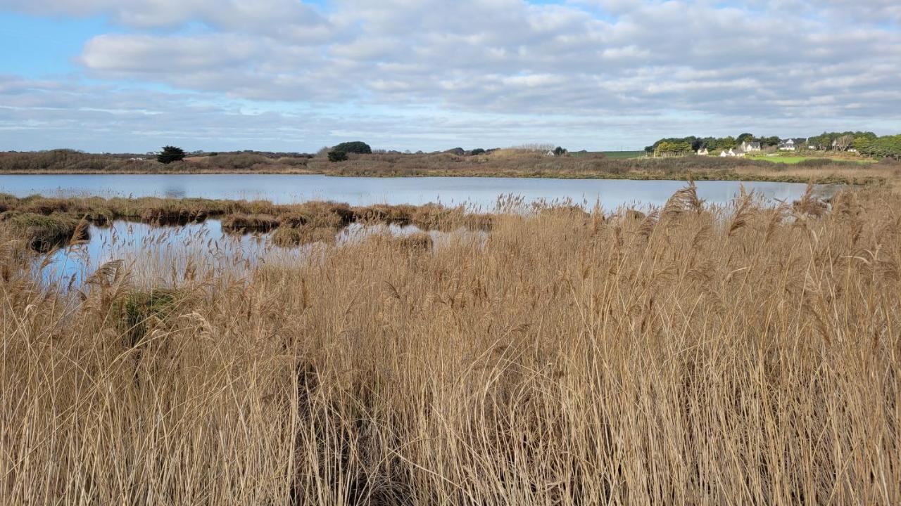 T3 “Groix“- 50 M De La Plage De Fort Bloque/Ploemeur Exteriör bild